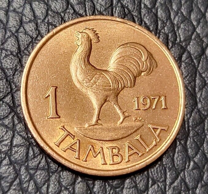 Read more about the article 1971 Malawi 1 Tambala Coin