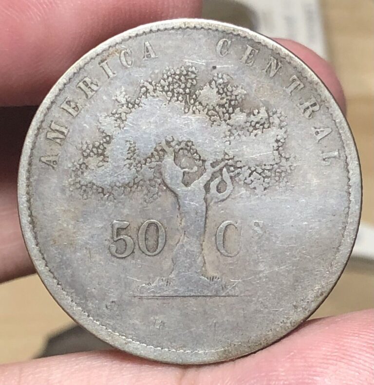 Read more about the article COSTA RICA KM107 50 Centimes 1875 Tree Nice Coin