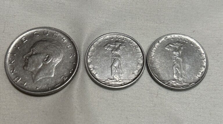 Read more about the article Lot Of 3 TURKEY COINS.  1959 and 1960