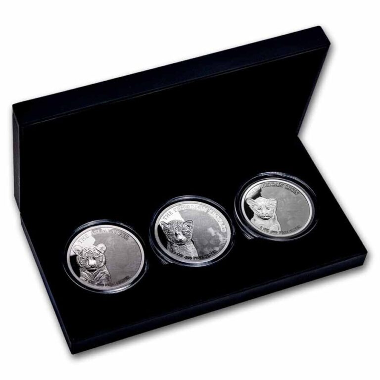 Read more about the article 2024 Congo 3-Coin Silver Wildcats Set (with Box and CoA)