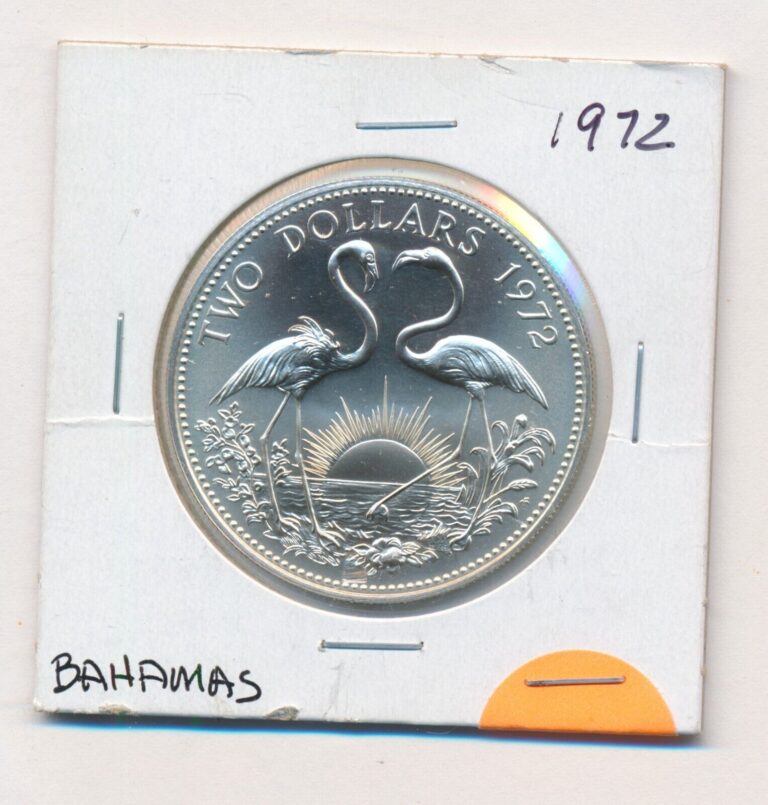 Read more about the article 1972 BAHAMAS ISLANDS SILVER $2 FLAMINGOS COIN