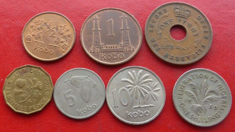 Read more about the article 7 ASSORTED COINS FROM NIGERIA  / LOT 728