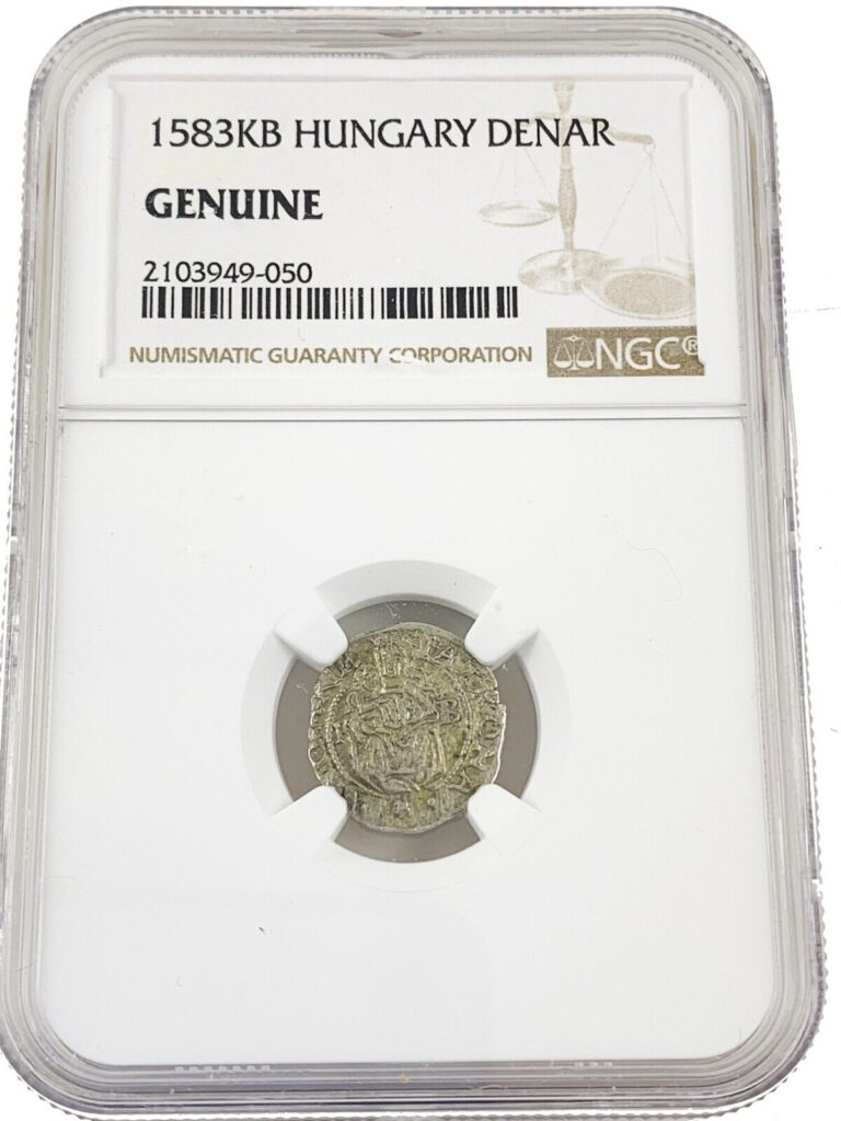 Read more about the article NGC GENUINE Hungary Silver Denar Madonna and Child c. 1583 Madonna and Christ Coin