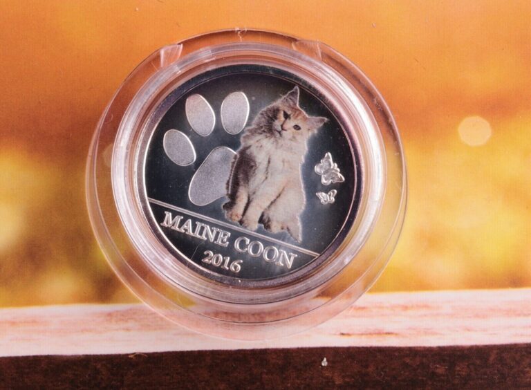 Read more about the article 2016 Burkina Faso Maine Coon Cat 999 Silver Coin 500 Francs  ULTRA RARE