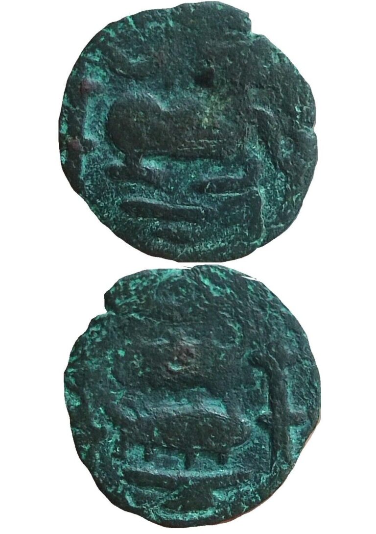 Read more about the article Sri Lanka Ancient Ceylon Coins Bull And Fish(824 – 943) Kingdom Of Jaffna