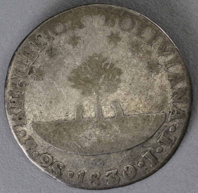 Read more about the article 1830 PTS JL Bolivia 2 Soles – Llama Coin – Old Silver – FREE SHIP – Lot 127a