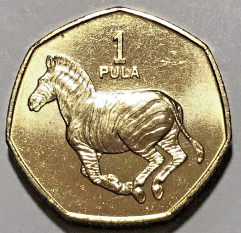 Read more about the article 1991 Botswana 1 pula Coin Zebra Horse Animal Wildlife Africa