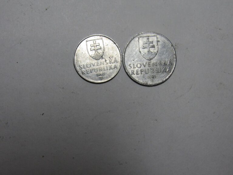 Read more about the article Lot of 2 Different Old Slovakia Coins – 1993 – Circulated