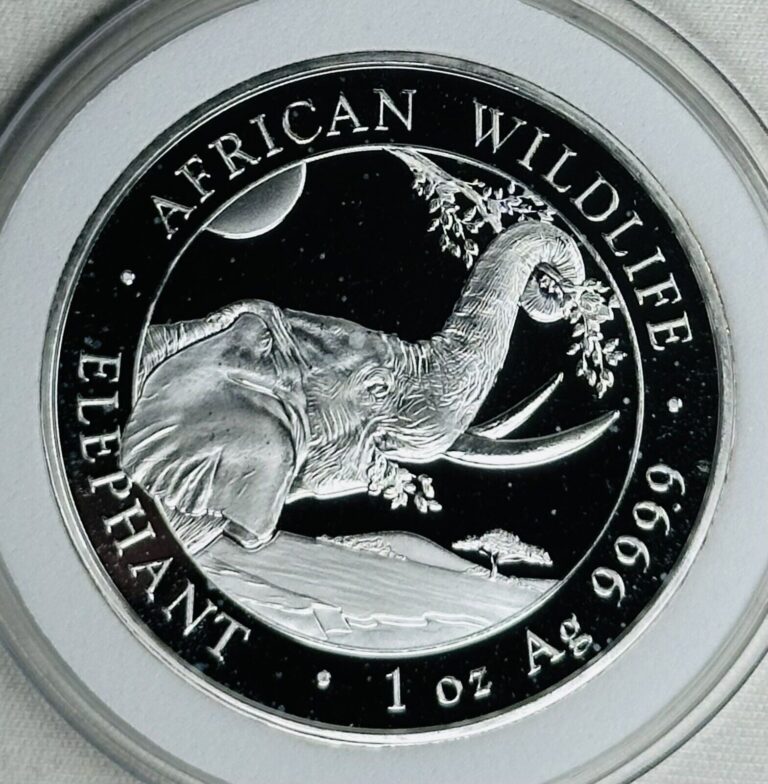 Read more about the article 2023 Somalia Silver Elephant Coin 1 oz .999 Silver Coin- Spotted- In Capsule