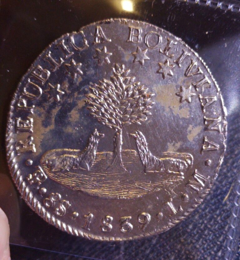 Read more about the article 1839 Bolivia 8 Soles