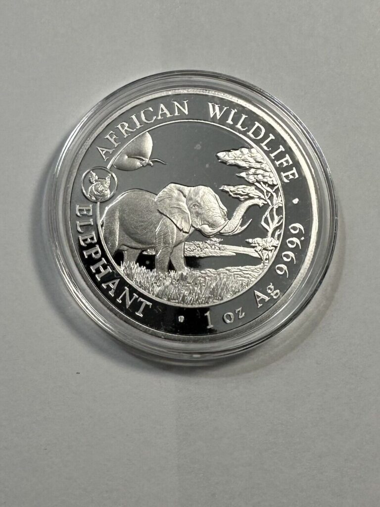 Read more about the article 2019 Somalia 1oz Silver Elephant African Wildlife 100 Shillings w/Pig Privy Coin