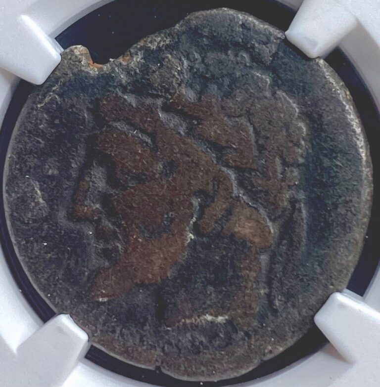 Read more about the article NGC Ancient Numidian Empire Coin 208 BC-118 BC Carthage Punic War Era Numidia