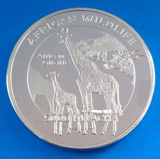 Read more about the article Zambia 5000 kwacha 2016 UNC Giraffe Silver Plated Coin