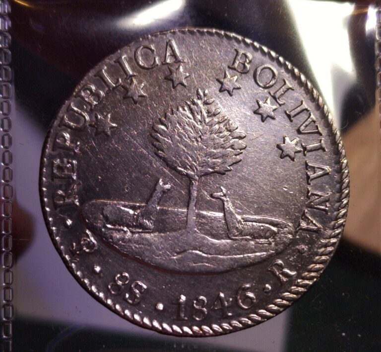 Read more about the article 1846 Bolivia 8 Soles