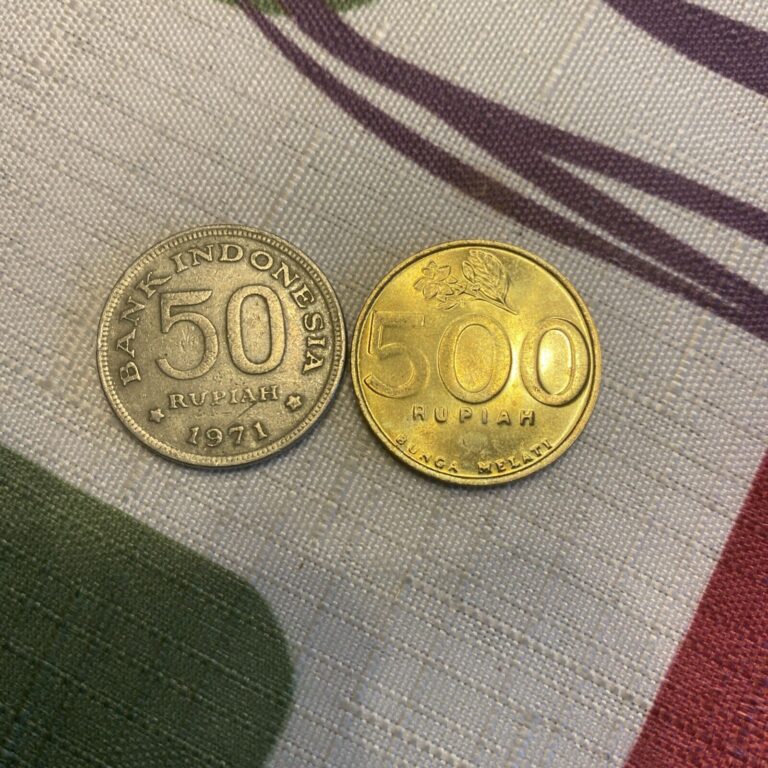 Read more about the article Indonesia 2001 600 Rupiah  1971 50 Rupiah – 2  Coins