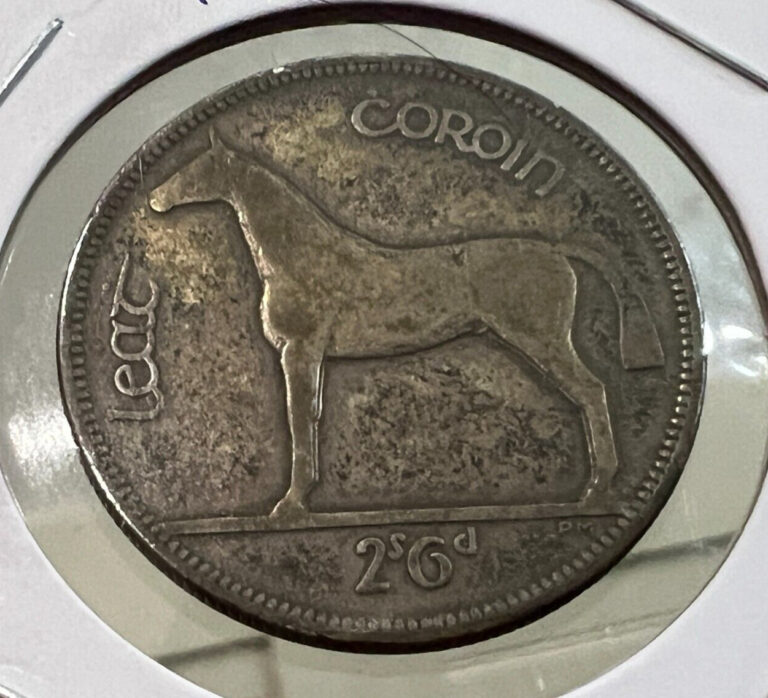 Read more about the article 1928 IRELAND SILVER HORSE 1/2 CROWN  COIN