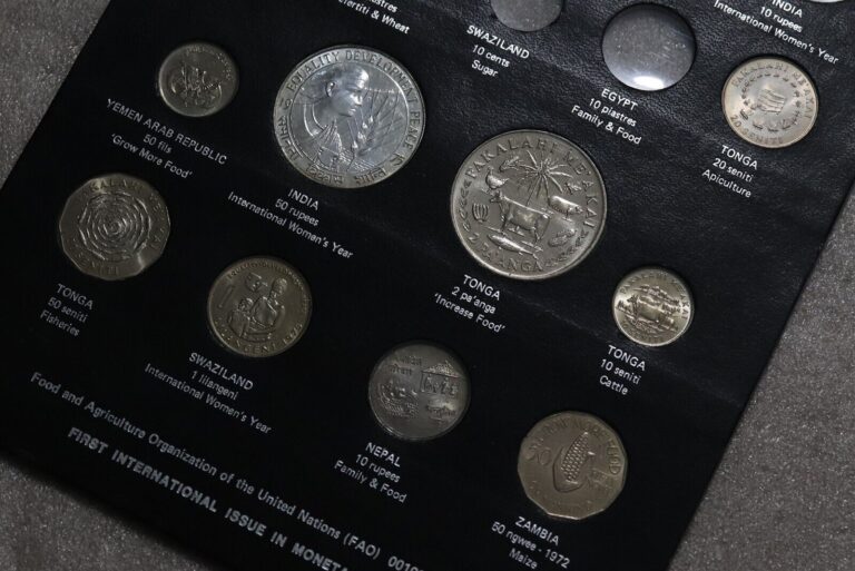 Read more about the article 🧭 🇺🇳 FAO MONEY BOARD INDIA 50 RUPEES SILVER + TONGA – 9 COINS B78 BX13