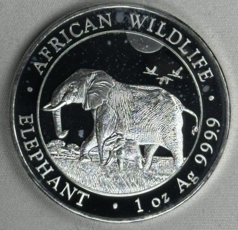 Read more about the article 2022 Somali Republic Elephant 1 oz Silver Coin – Spotted- in Capsule