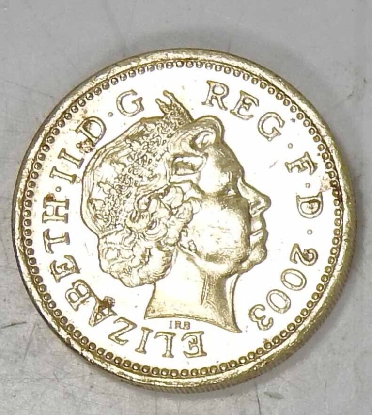 Read more about the article 2003 ROYAL ENGLAND ARMS BRITISH ONE 1 POUND UK MINT STATE COIN DECUS ET TUTAMEN