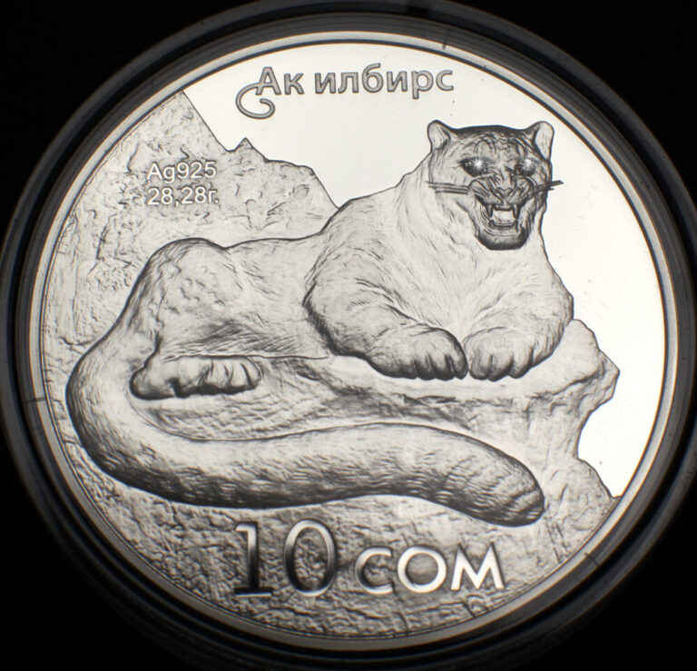 Read more about the article KYRGYZSTAN: silver coin 10 Som  SNOW LEOPARD  RED BOOK Ag Swarowski PRF 2012