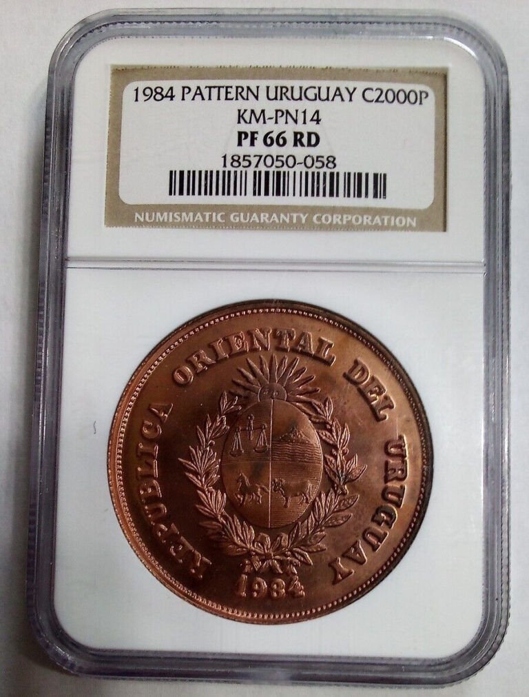 Read more about the article 1984 Uruguay Pattern 2000 Nuevos Pesos NGC PF66RD RARE Top POP 3 Error Label