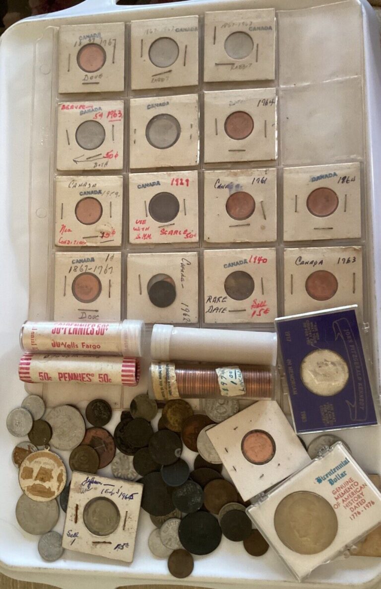 Read more about the article Coin Lot  Unknown Value  Canadian  US  Costa Rica  Inherited