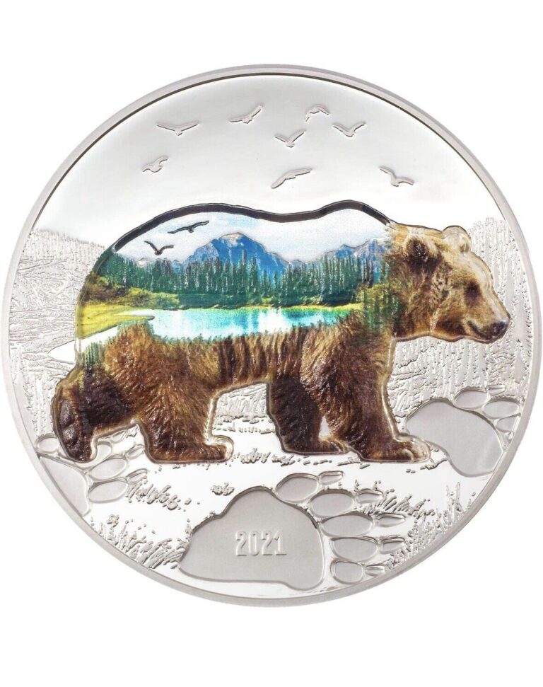 Read more about the article 2021 Mongolia Proof Into the Wild Bear 2 oz Silver Ultra High Relief Coin in OGP