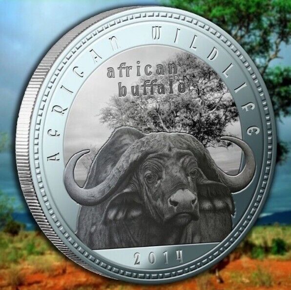 Read more about the article Zambia 1000 kwacha 2014 UNC Buffalo Africa Wildlife Silver Plated Coin