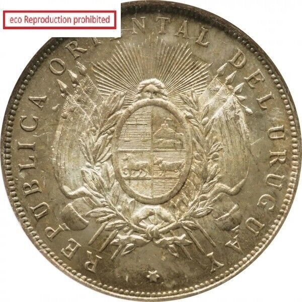 Read more about the article Uruguay Peso Silver Coin 1895 KM17A NGC (MS64)