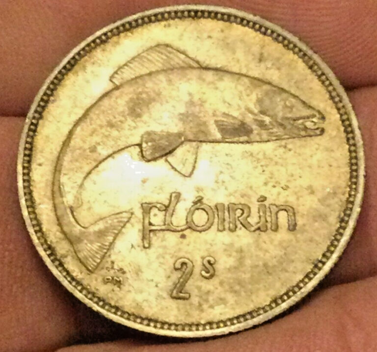 Read more about the article 1939 IRELAND SILVER FLORIN COIN