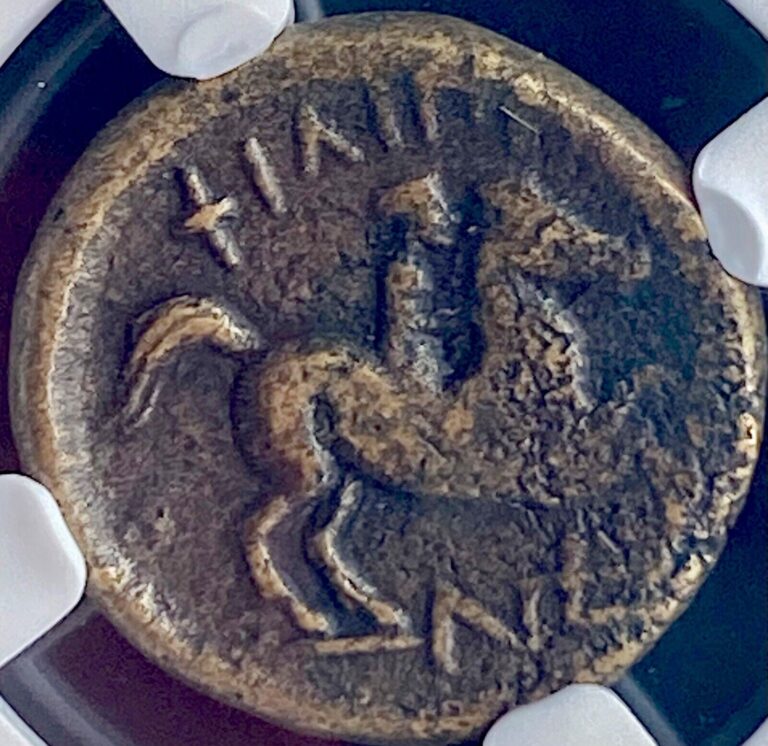 Read more about the article Beautiful NGC Certified Philip II 359-336 BC Greek Kingdom of Macedon Coin