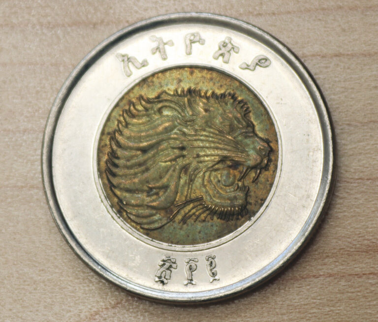 Read more about the article 2002 (2010) Ethiopia 1 Birr Lion Bimetallic