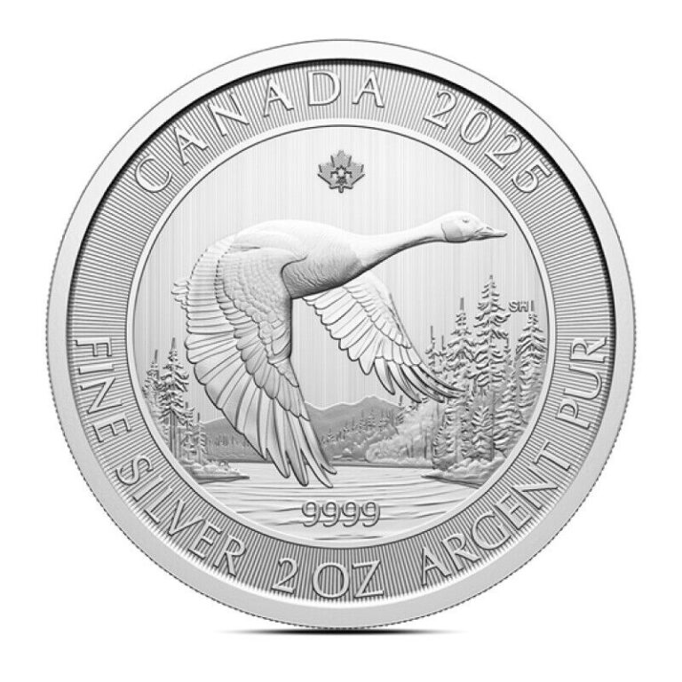 Read more about the article 2025 2 oz Canadian Goose Silver Coin (BU)