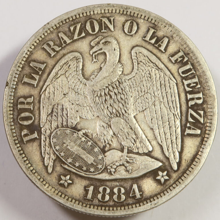 Read more about the article 1884 CHILE – Silver 1 Peso Coin #47483