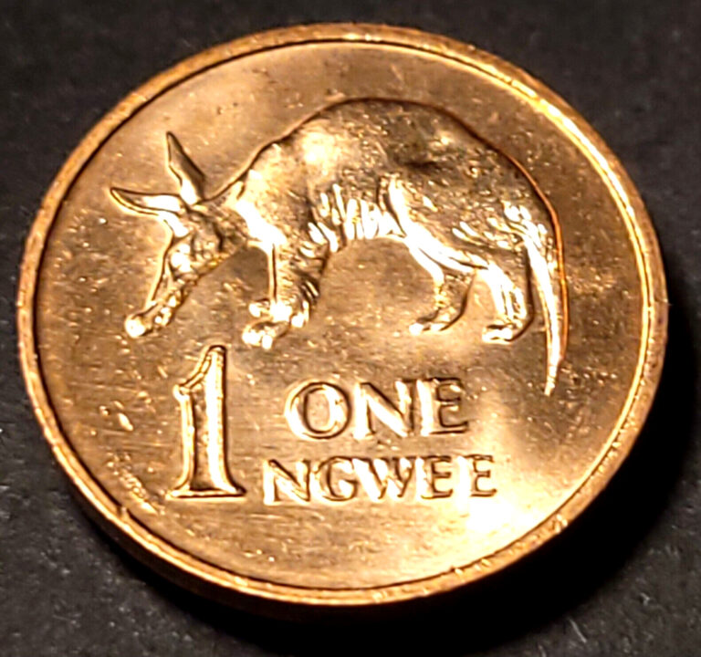 Read more about the article 1983 Zambia ONE 1 NGWEE COIN – KM#9A – 17.5MM – AARDVARK – AFRICA