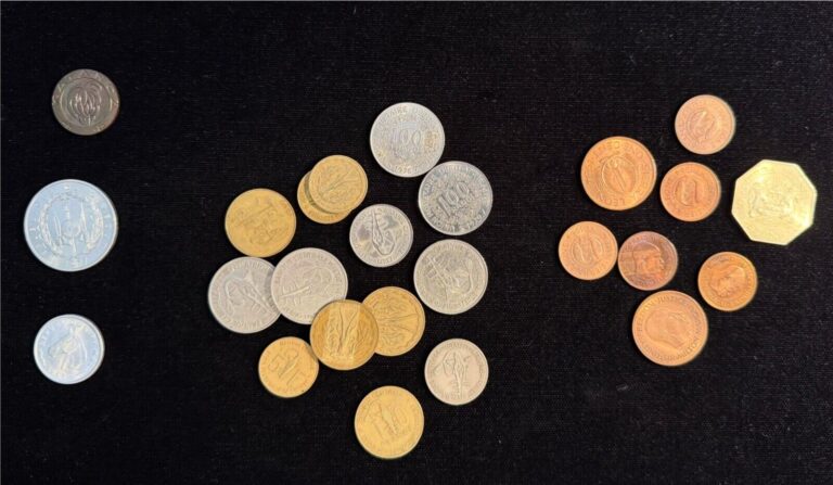 Read more about the article AFRICA  LOT OF (25) COINS  INCLUDES: DJBOUTI  KATANGA  MALI  SIERRA LEONE  WEST