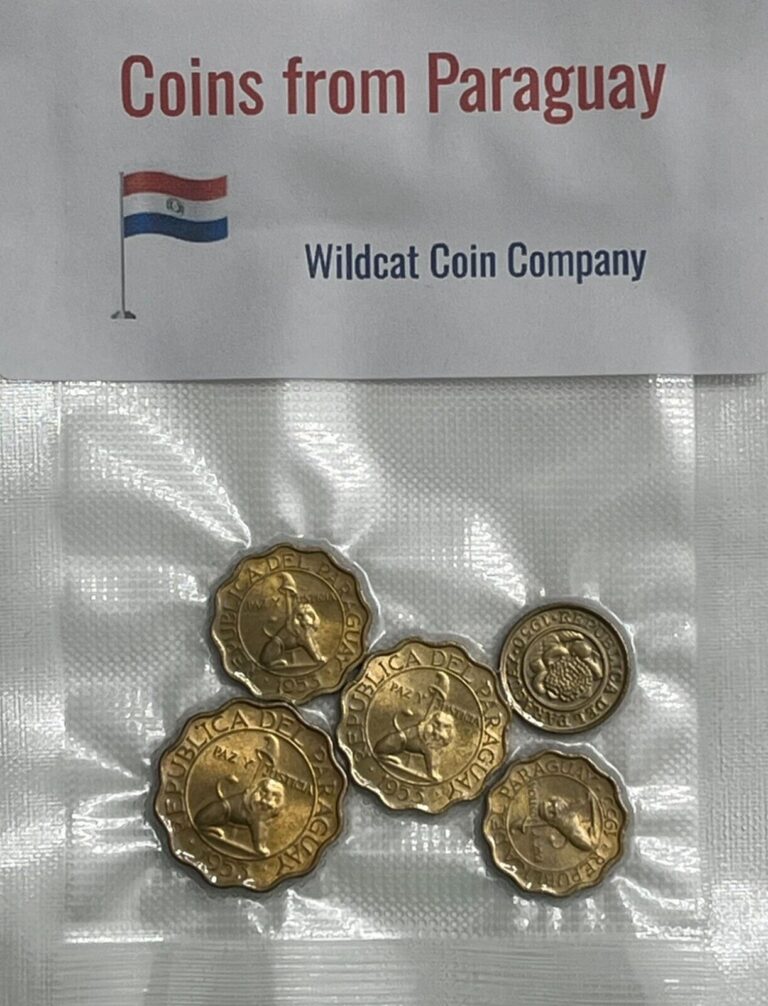 Read more about the article Paraguay Coins – 5 Random Coins – Free Shipping