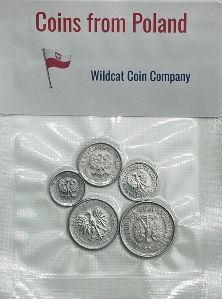 Read more about the article Poland Coins – 5 Random Coins – Free Shipping