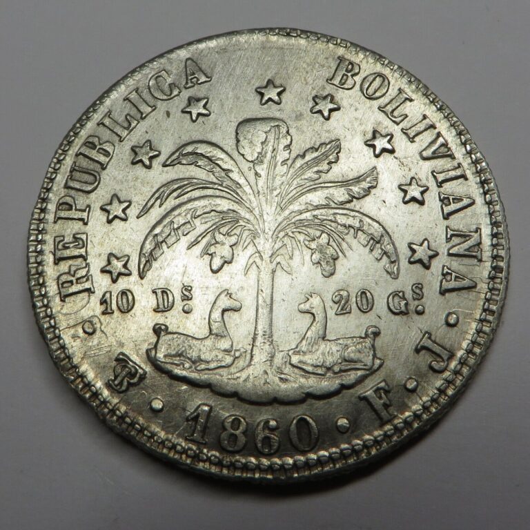 Read more about the article Bolivia 8 Soles 1860PTS FJ Silver KM#138.6