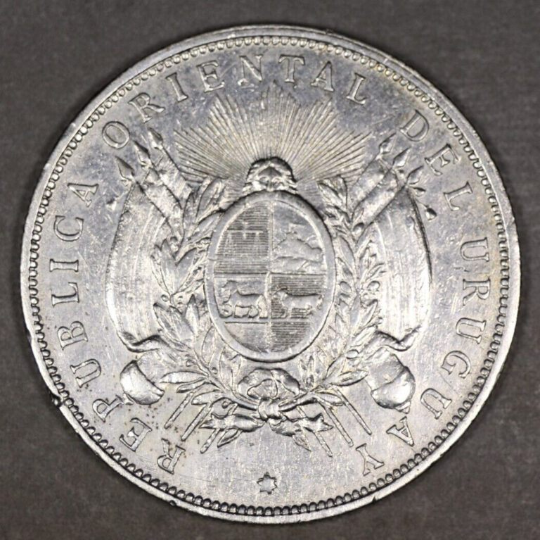 Read more about the article 1895 Uruguay Silver Peso