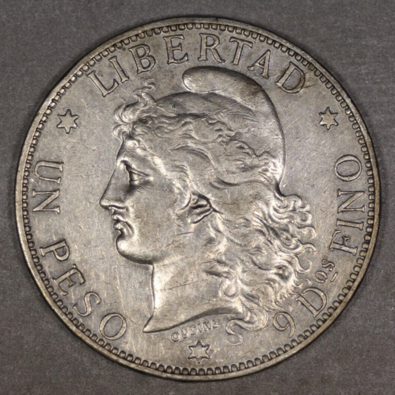 Read more about the article 1882 Argentina Silver Peso