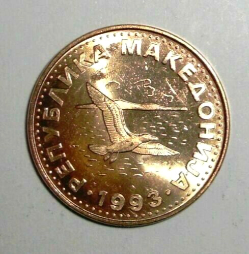 Read more about the article 1993 Macedonia 50 deni Coin Seagull Bird Animal Wildlife