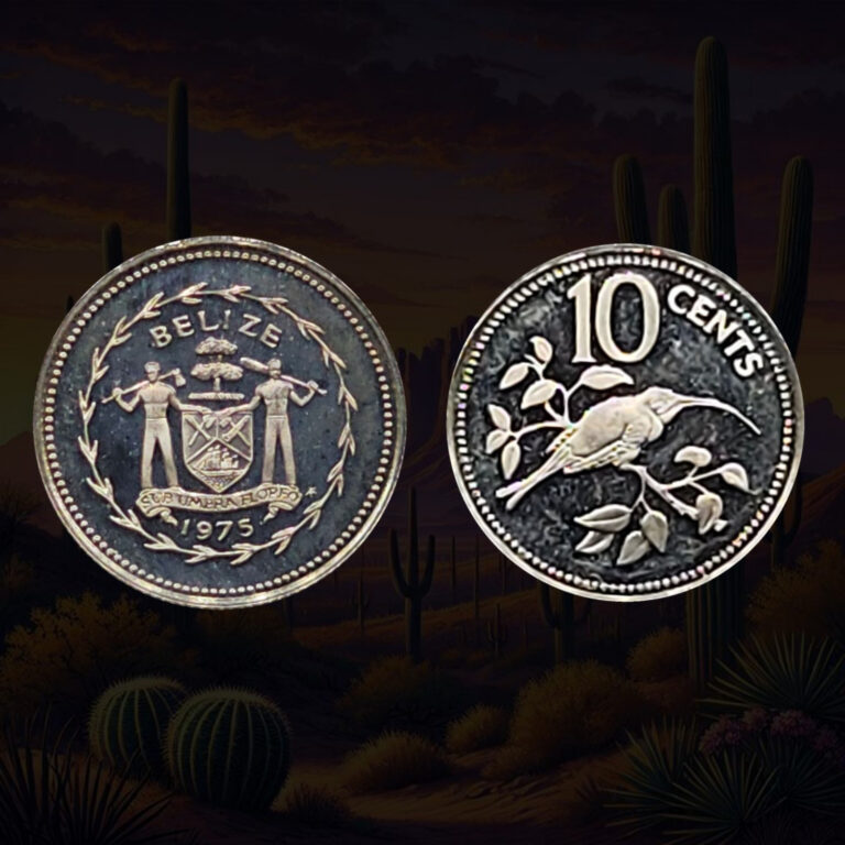 Read more about the article 1975 Belize 10 Cents Proof Coin  .925 Silver  Long-tailed hermit  Coat of Arms