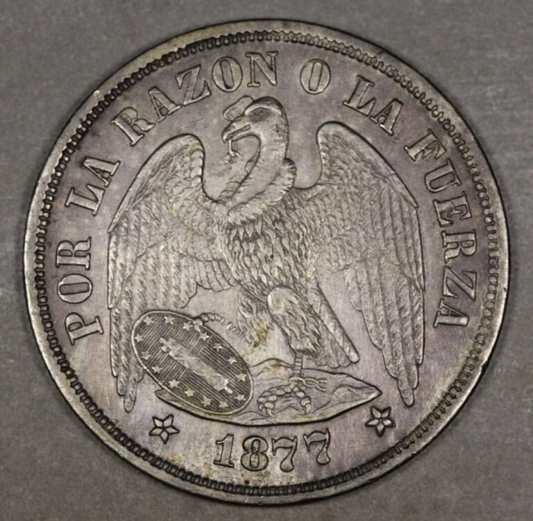 Read more about the article 1877 Chile Silver Peso