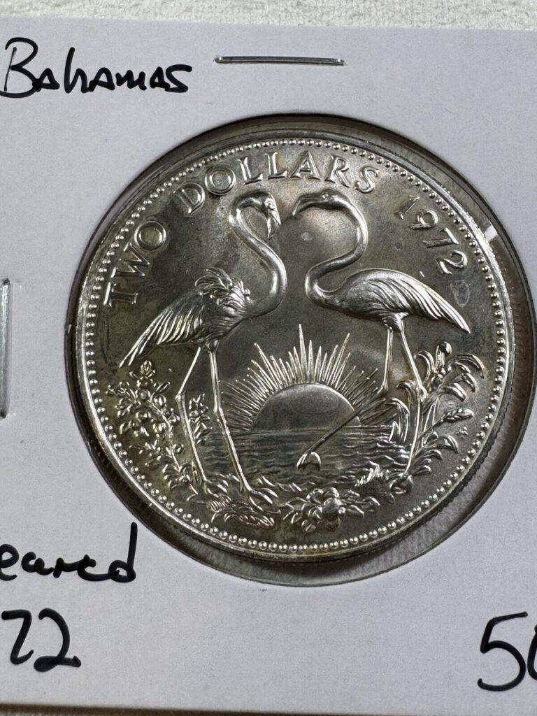 Read more about the article 1972 Bahamas 2 Dollar Silver Coin Cleaned Low Mintage Flamingos