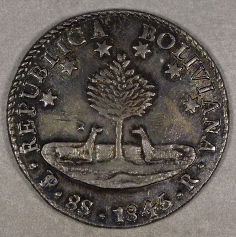 Read more about the article 1845 Bolivia Silver 8 Soles