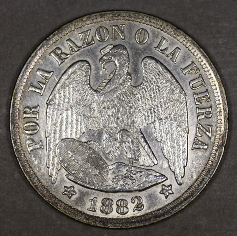 Read more about the article 1882 Chile Silver Peso