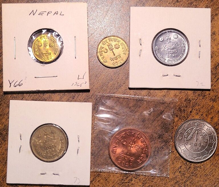 Read more about the article VS2021-VS2028 (1964-1971) NEPAL LOT OF SIX COINS: 1-2-5-10-50 PAISA (UNC!)