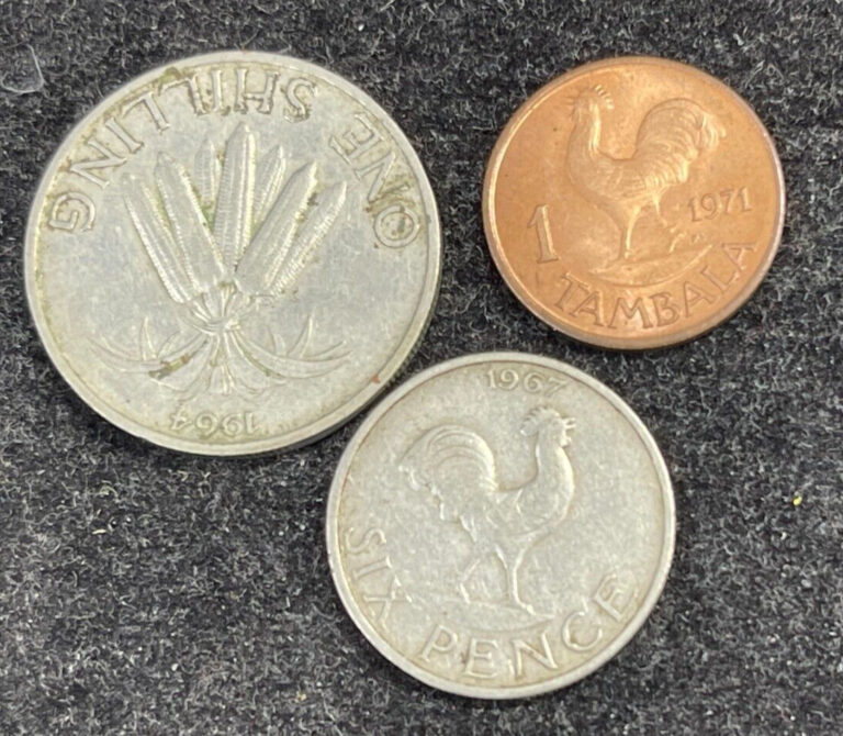 Read more about the article Malawi 3 Coins Lot Great Condition