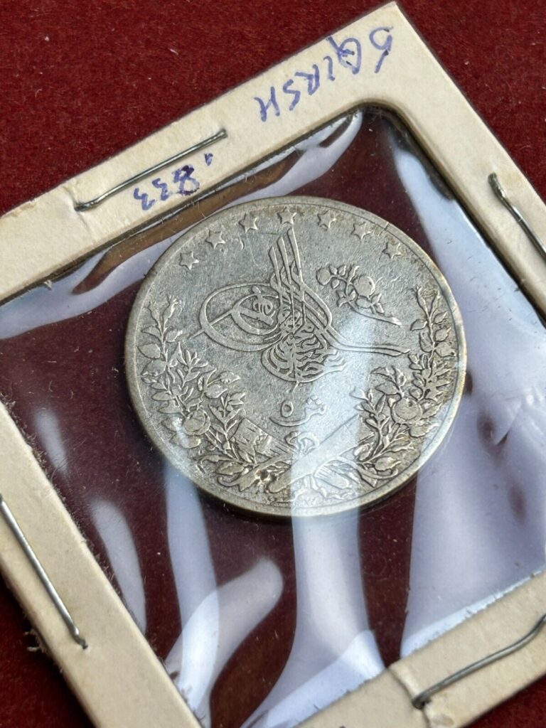 Read more about the article Egypt 1293 5 Qirsh Silver Coin-Nice Coin